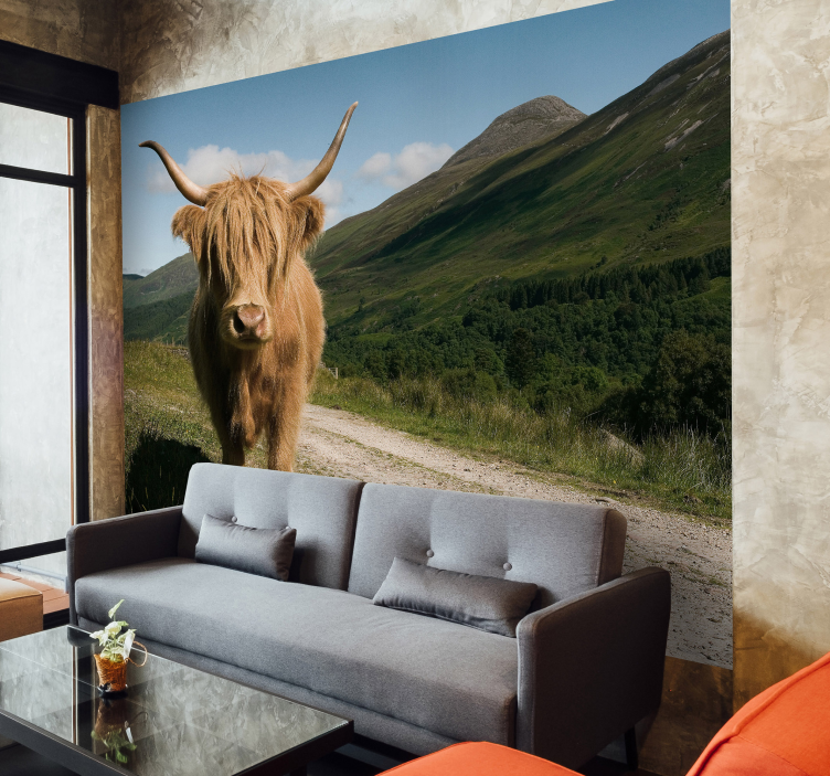 Fotomurale di animale con vacca Highlander - TenStickers