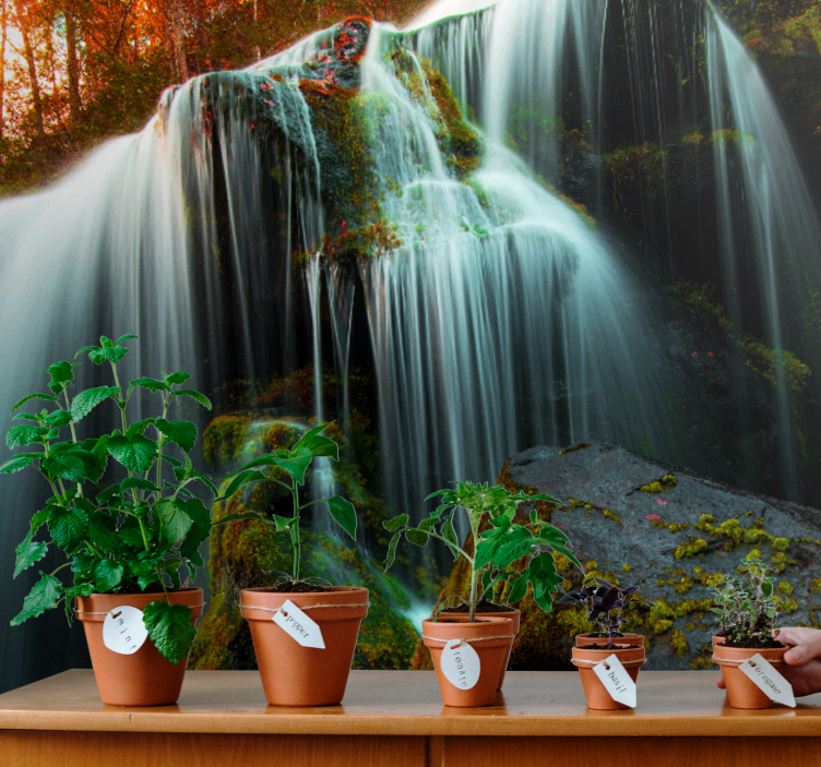 Fotomurali cascate acqua che scorre dolcemente - TenStickers