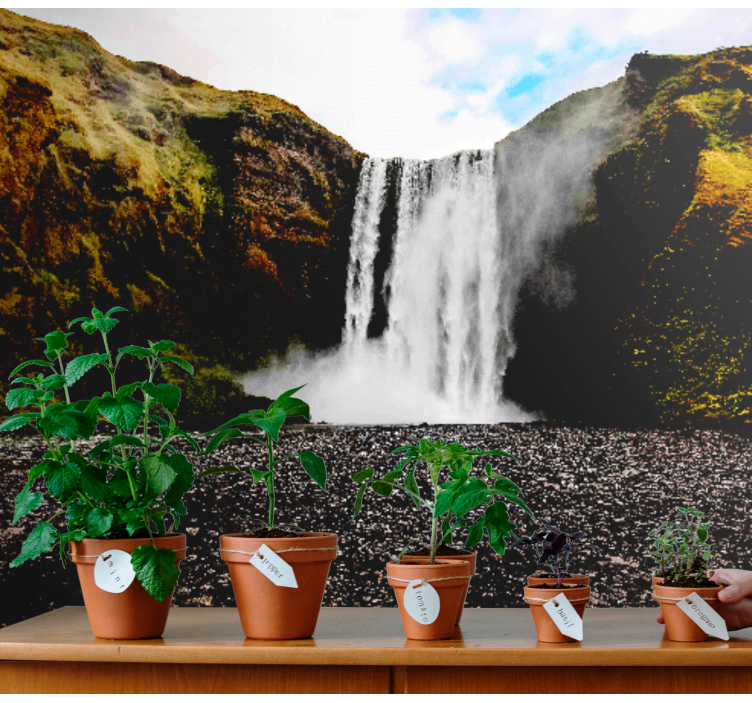 Fotomurali cascate maestosa scena di cascata - TenStickers
