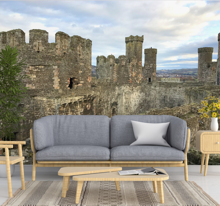 Fotomurale con vista del Castello di Conwy - TenStickers