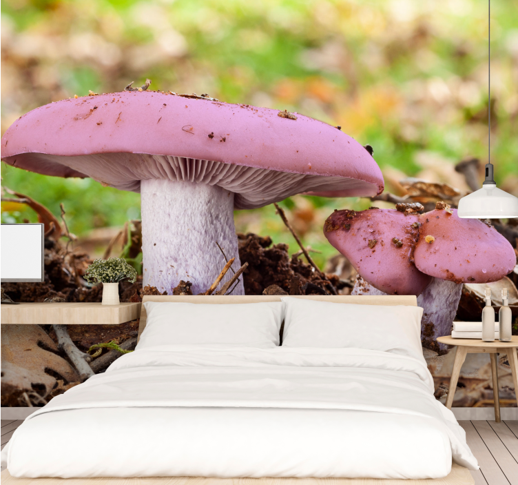 Fotomurali fiori diversi gruppo di funghi rosa - TenStickers