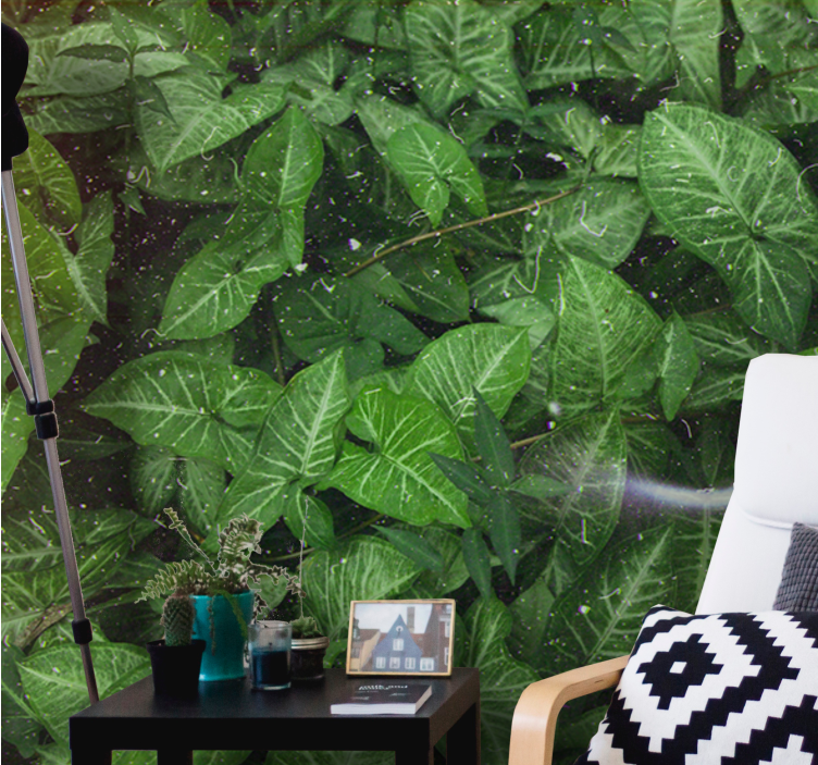 Fotomurali natura composizione di foglie vivaci - TenStickers