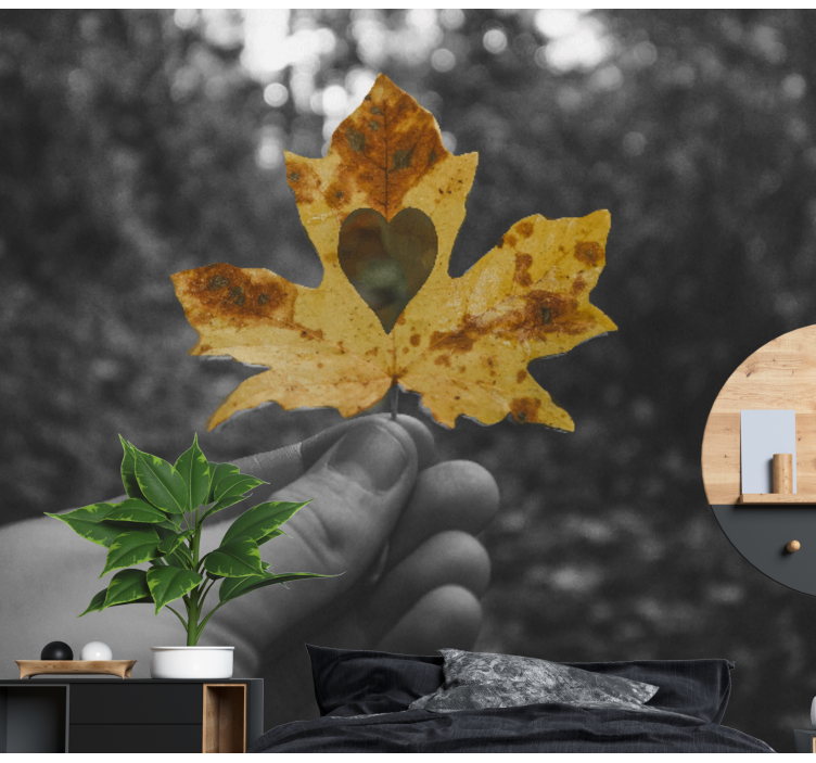 Fotomurali natura foglia a forma di cuore - TenStickers