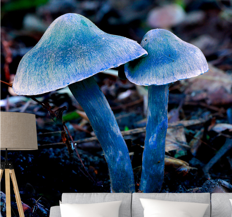 Fotomurali natura forme di funghi uniche - TenStickers