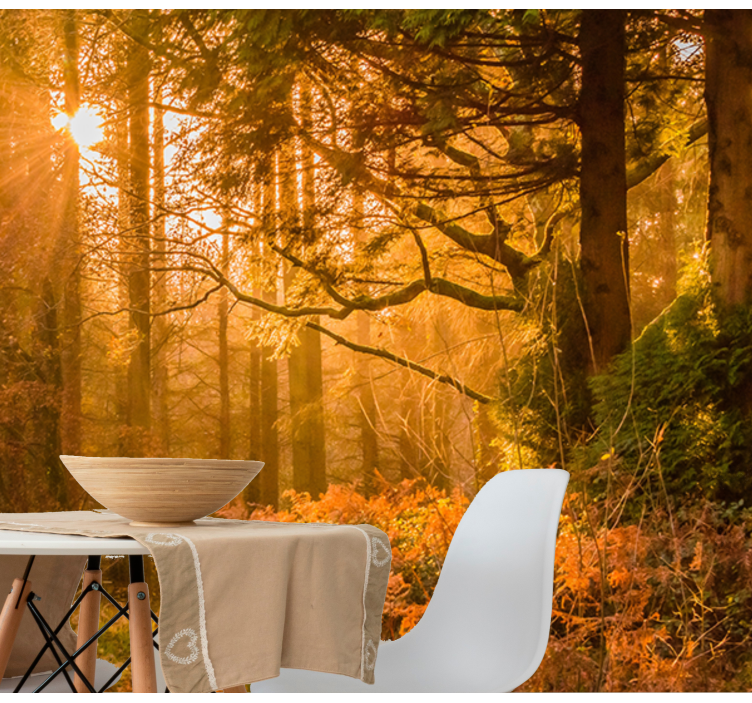 Fotomurali natura paesaggio boschivo illuminato - TenStickers