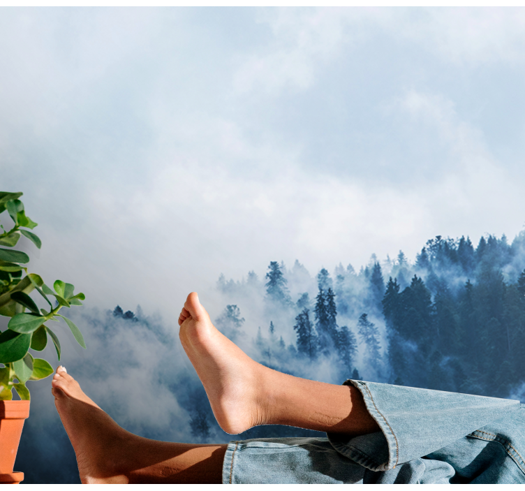 Fotomurali natura paesaggio boscoso nebbioso - TenStickers