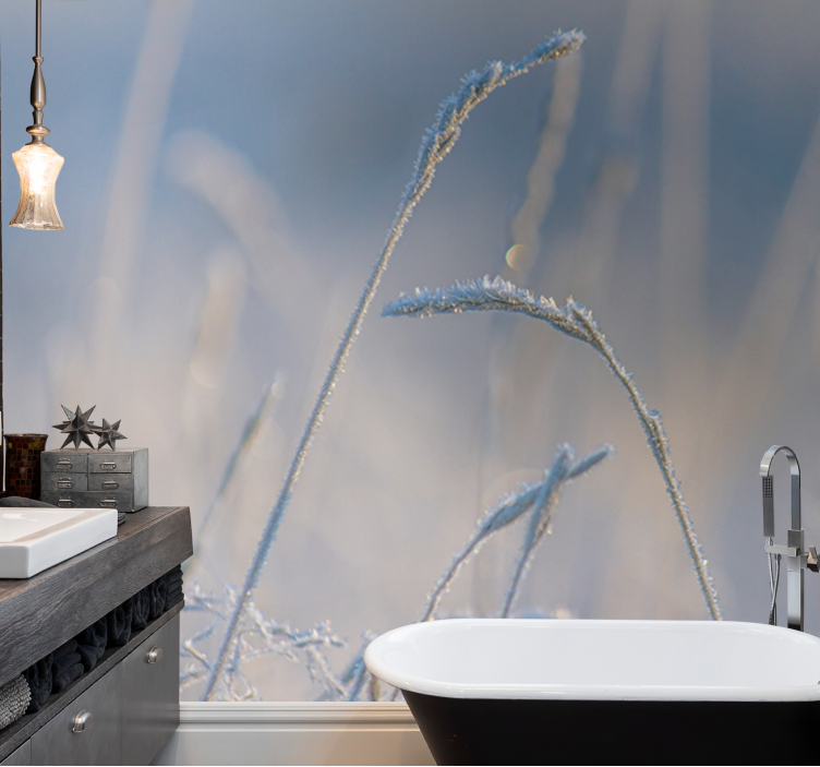 Fotomurali natura punte d'erba ghiacciata - TenStickers