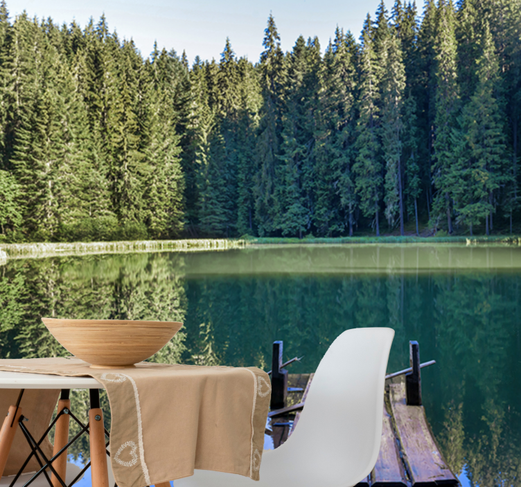 Fotomurali natura riflesso di bosco sereno - TenStickers