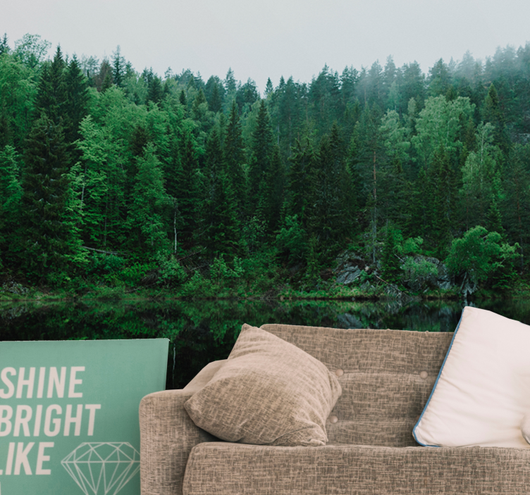 Fotomurali natura riflesso di una foresta tranquilla - TenStickers