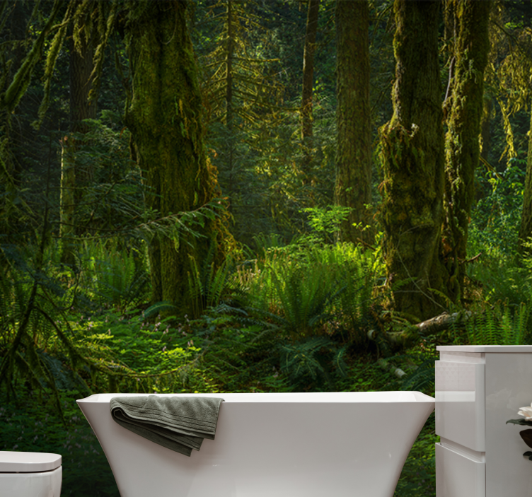 Fotomurali natura ritiro nella foresta serena - TenStickers