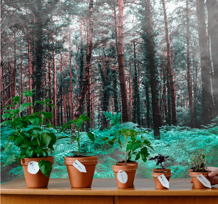 Fotomurali natura selva verde lussureggiante - TenStickers