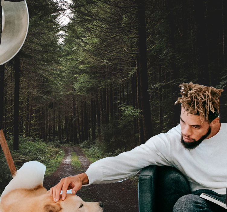 Fotomurali natura sentiero boschivo verdeggiante - TenStickers