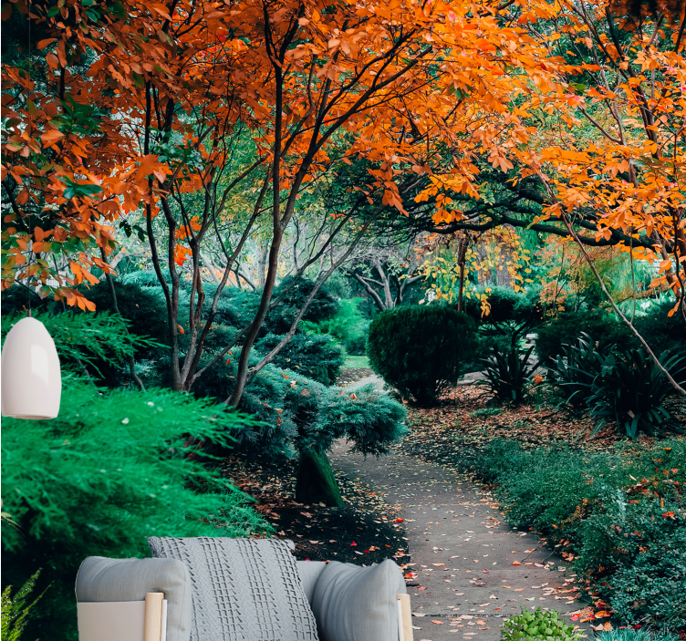 Fotomurali natura sentiero tra gli alberi - TenStickers