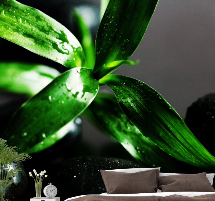 Fotomurali natura texture di foglie fresche - TenStickers