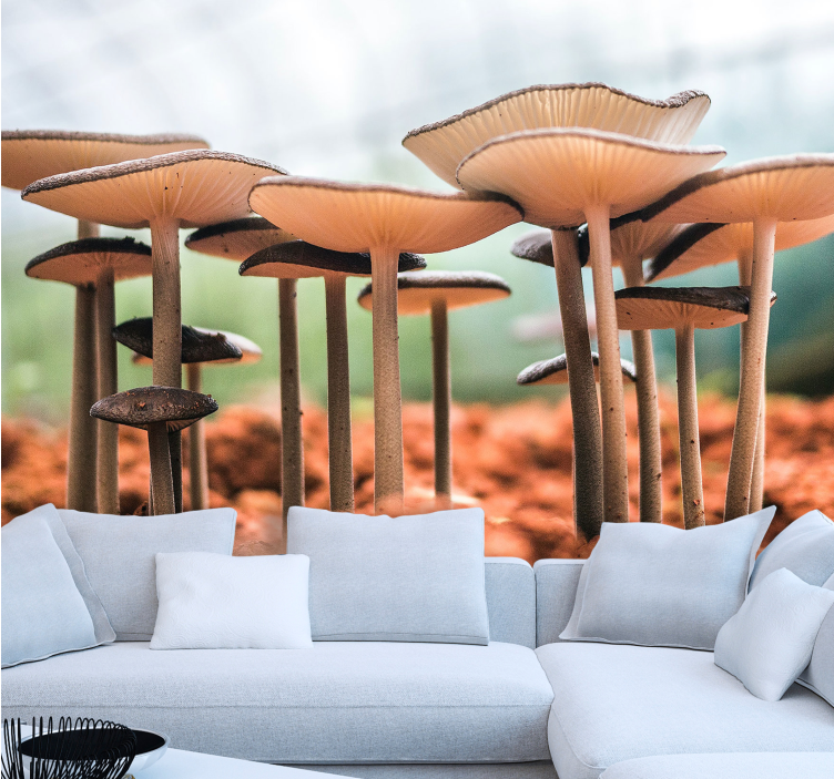 Fotomurali originali scena di gruppo di funghi - TenStickers