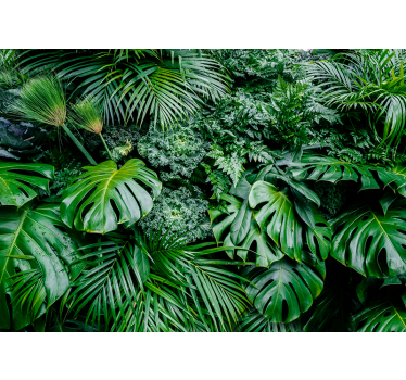 Fotomurale foreste con vegetazione - TenStickers