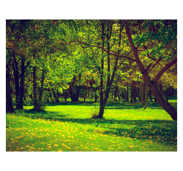 Fotomurale paesaggi bosco in primavera - TenStickers