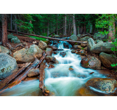 Murale cascata della meraviglia della natura - TenStickers