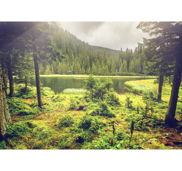 Fotomurale paesaggio con alberi e lago naturale - TenStickers