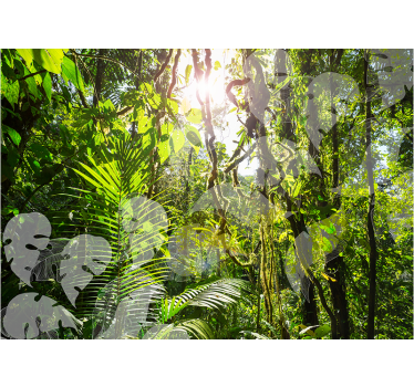 Fotomurali natura rifugio nel verde lussureggiante - TenStickers