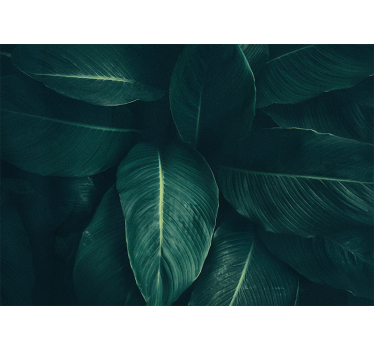 Fotomurali natura texture fogliosa lussureggiante - TenStickers