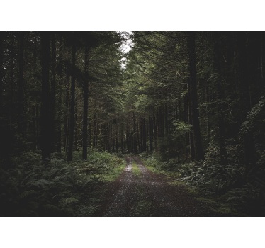 Fotomurali natura sentiero boschivo verdeggiante - TenStickers