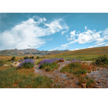 Fotomurali natura paesaggio montano vastissimo - TenStickers