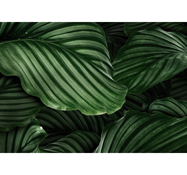 Carta da parati natura foglie di verde lussureggiante - TenStickers