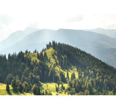 Fotomurale paesaggi scena di foresta montana - TenStickers