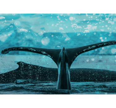 Fotomurale animali splash della pinna della balena - TenStickers