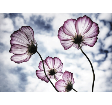 Fotomurale fiori bellezza floreale delicata - TenStickers
