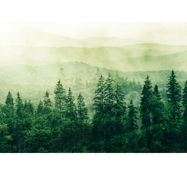 Fotomurali natura paesaggio verde nebbioso - TenStickers