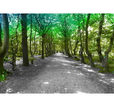 Fotomurali natura sentiero di alberi lussureggianti - TenStickers