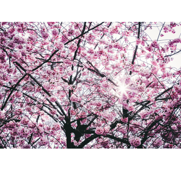 Fotomurale alberi fiore di ciliegio - TenStickers