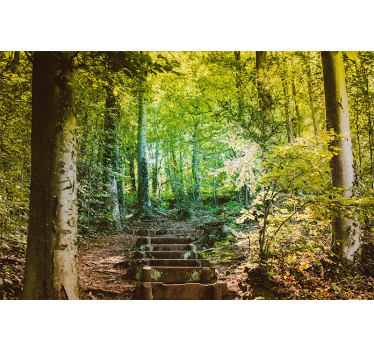 Fotomurale foresta percorso con scale - TenStickers