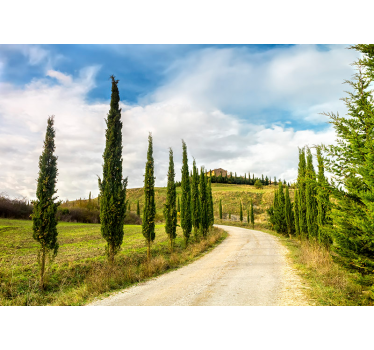 Fotomurali natura vista sulla campagna toscana - TenStickers