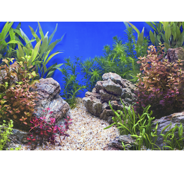Fotomurali natura paesaggio acquatico - TenStickers