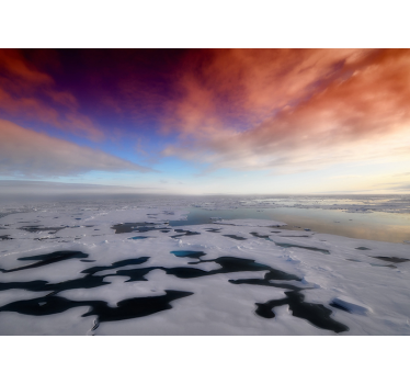 Fotomurale paesaggi vista sull'oceano artico - TenStickers