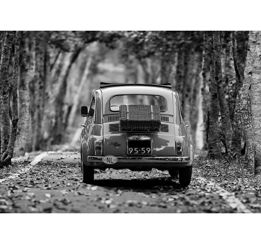 Fotomurale vintage Carta da parati auto d'epoca in bianco e nero - TenStickers