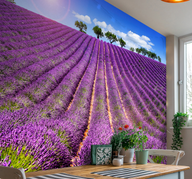 Carta da parati murale campo di lavanda - TenStickers