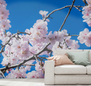 Fotomurale fiori ramo di fiori di ciliegio - TenStickers