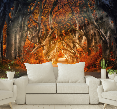 fotomurale foresta di alba di autunno - TenStickers