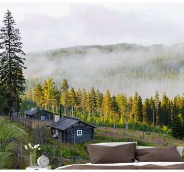 Fotomurale paesaggi foresta coperta di nebbia - TenStickers