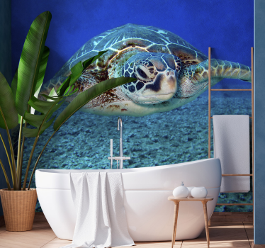 Fotomurale con tema marino con tartaruga - TenStickers