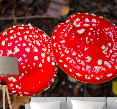 Fotomurali natura cappelli di fungo rossi - TenStickers