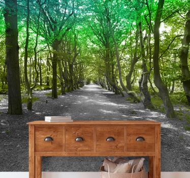 Fotomurali natura sentiero di alberi lussureggianti - TenStickers
