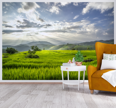 Murale dell'alba sui campi paesaggio foto - TenStickers