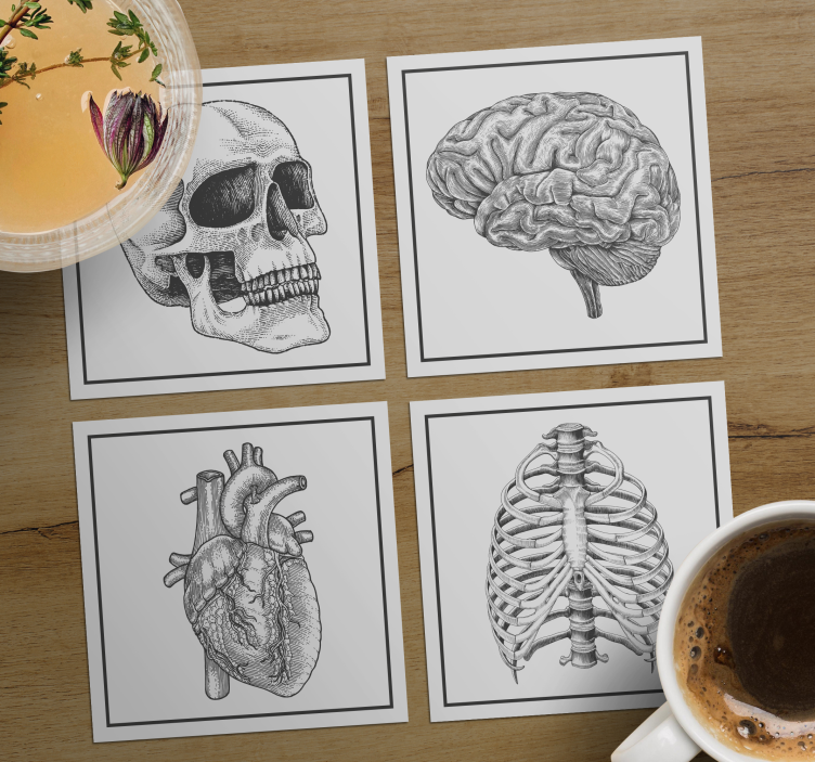 Sottobicchieri frikis teschio anatomico cervello cuore - TenStickers