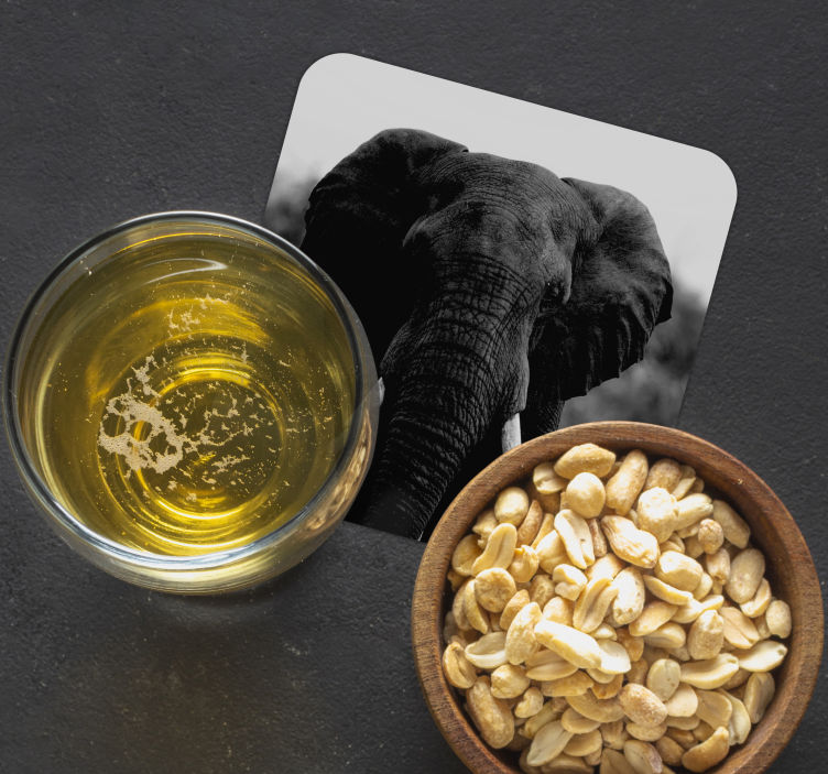 Sottobicchieri vintage ritratti di elefanti monocromatici - TenStickers