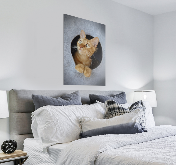 Poster con gattino effetto 3d - TenStickers